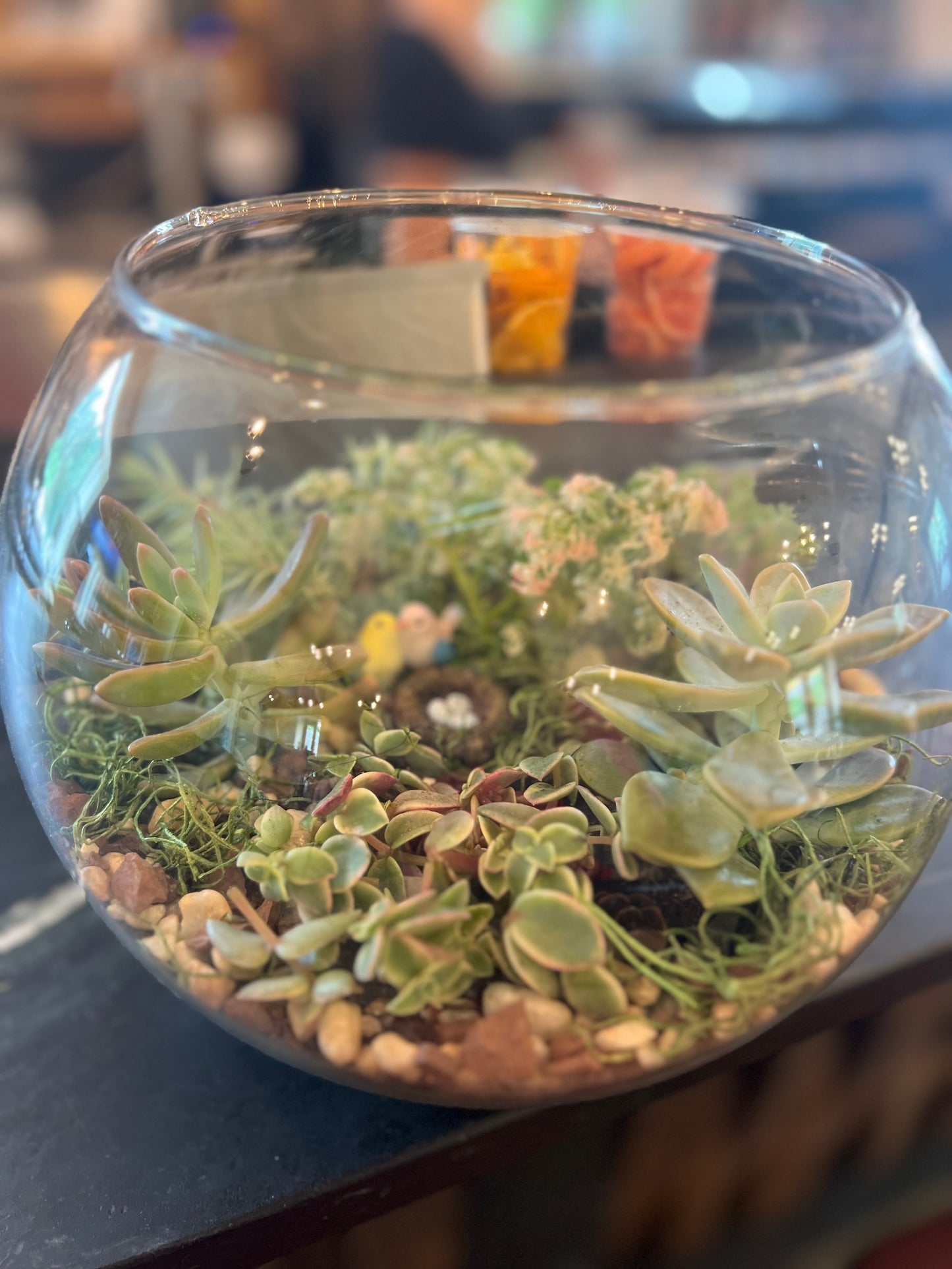 Nemours Private Event - May 21, 2025 Succulent Birds Nest