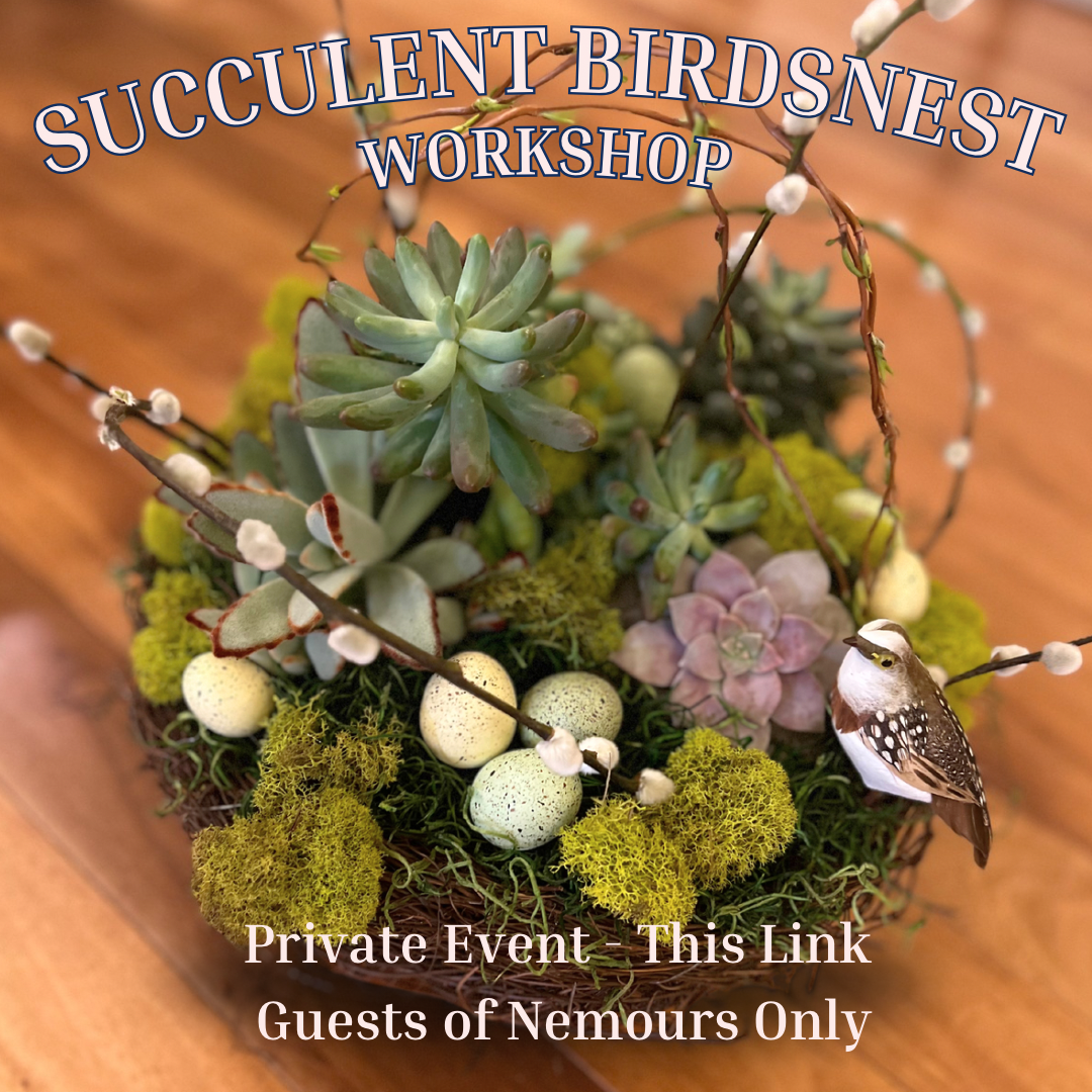 Nemours Private Event - May 21, 2025 Succulent Birds Nest