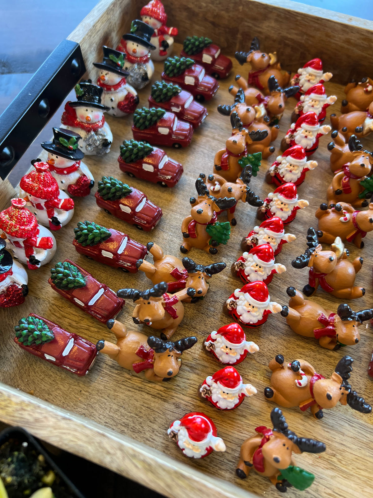 11/27 Succulent Snowglobe Workshop at Grace Winery, Glen Mills PA at 6 pm