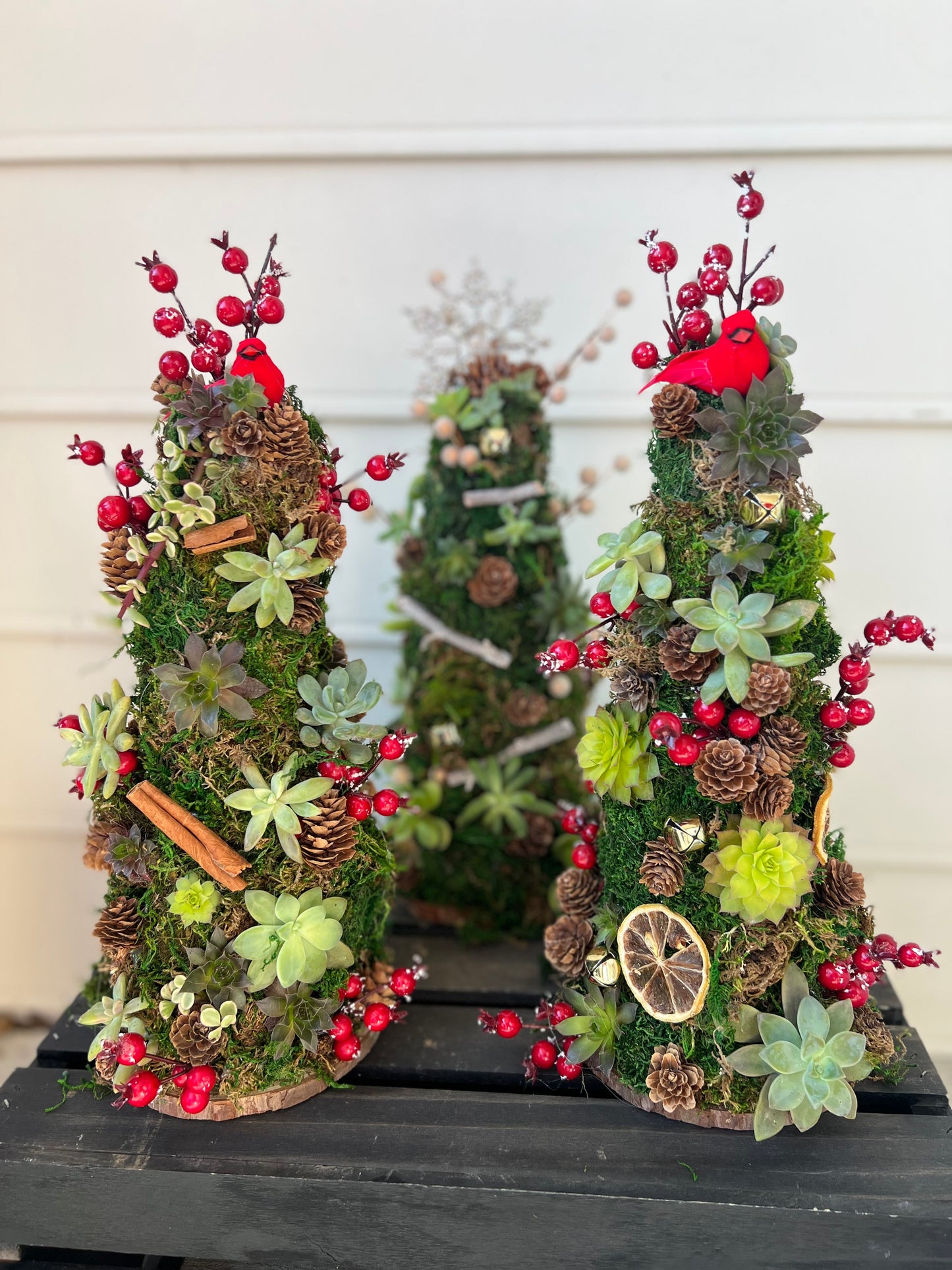 12/2 Trees & 'Tinis - Succulent Workshop at Stove & Tap in West Chester at 6 pm