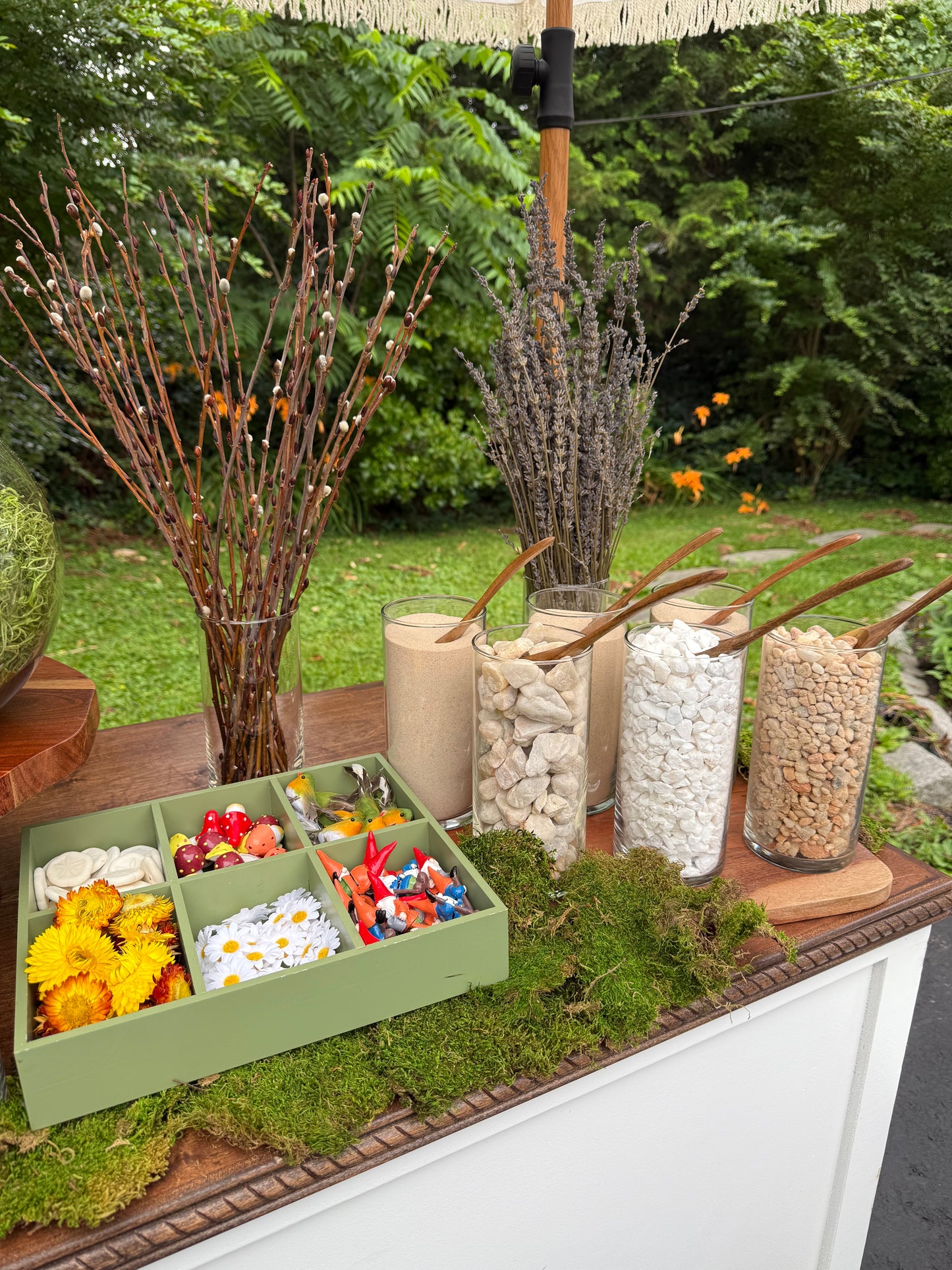 Signature Succulent Bar – Includes Cart Rental & 30 Terrariums