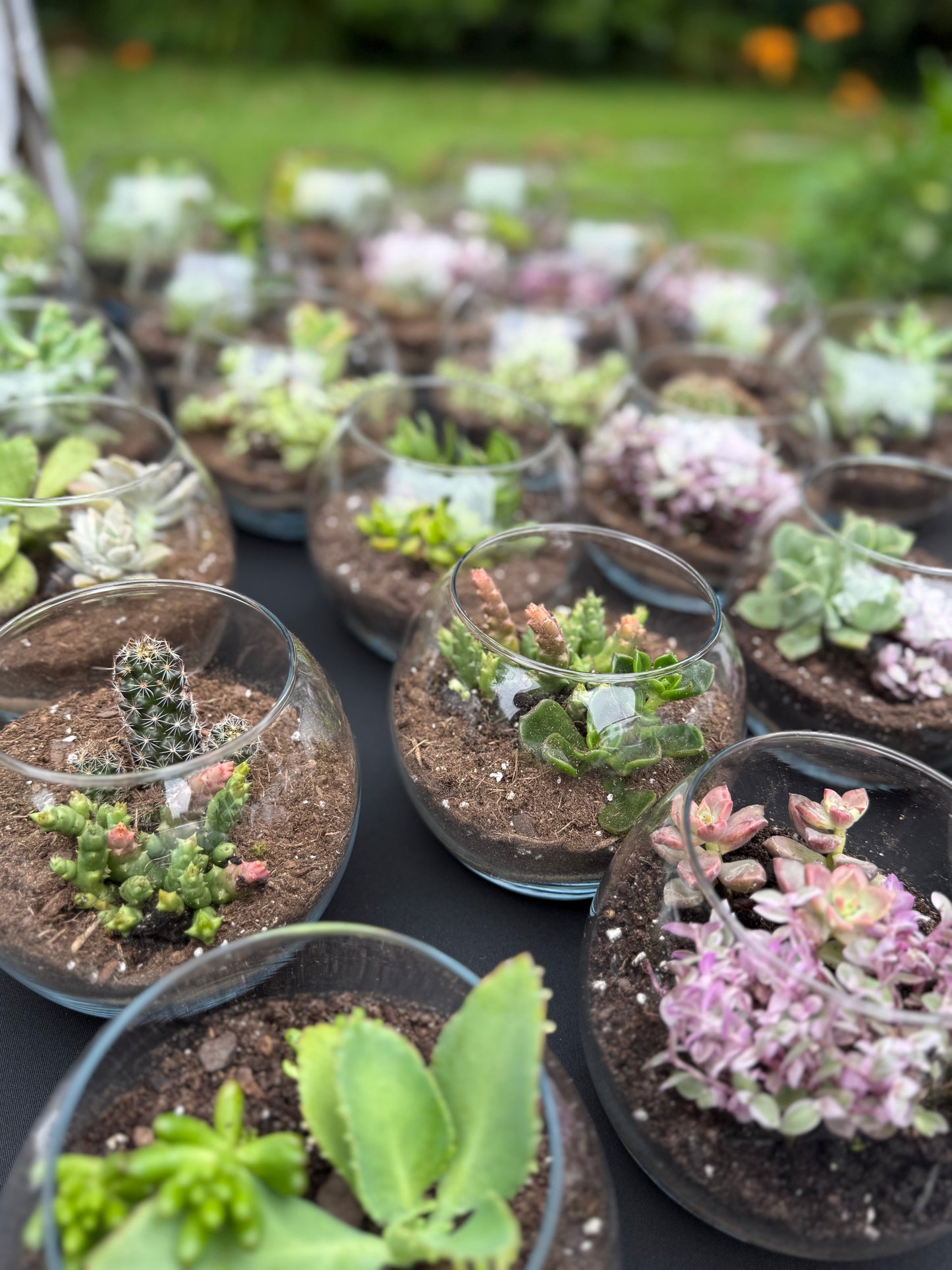 Signature Succulent Bar – Includes Cart Rental & 30 Terrariums