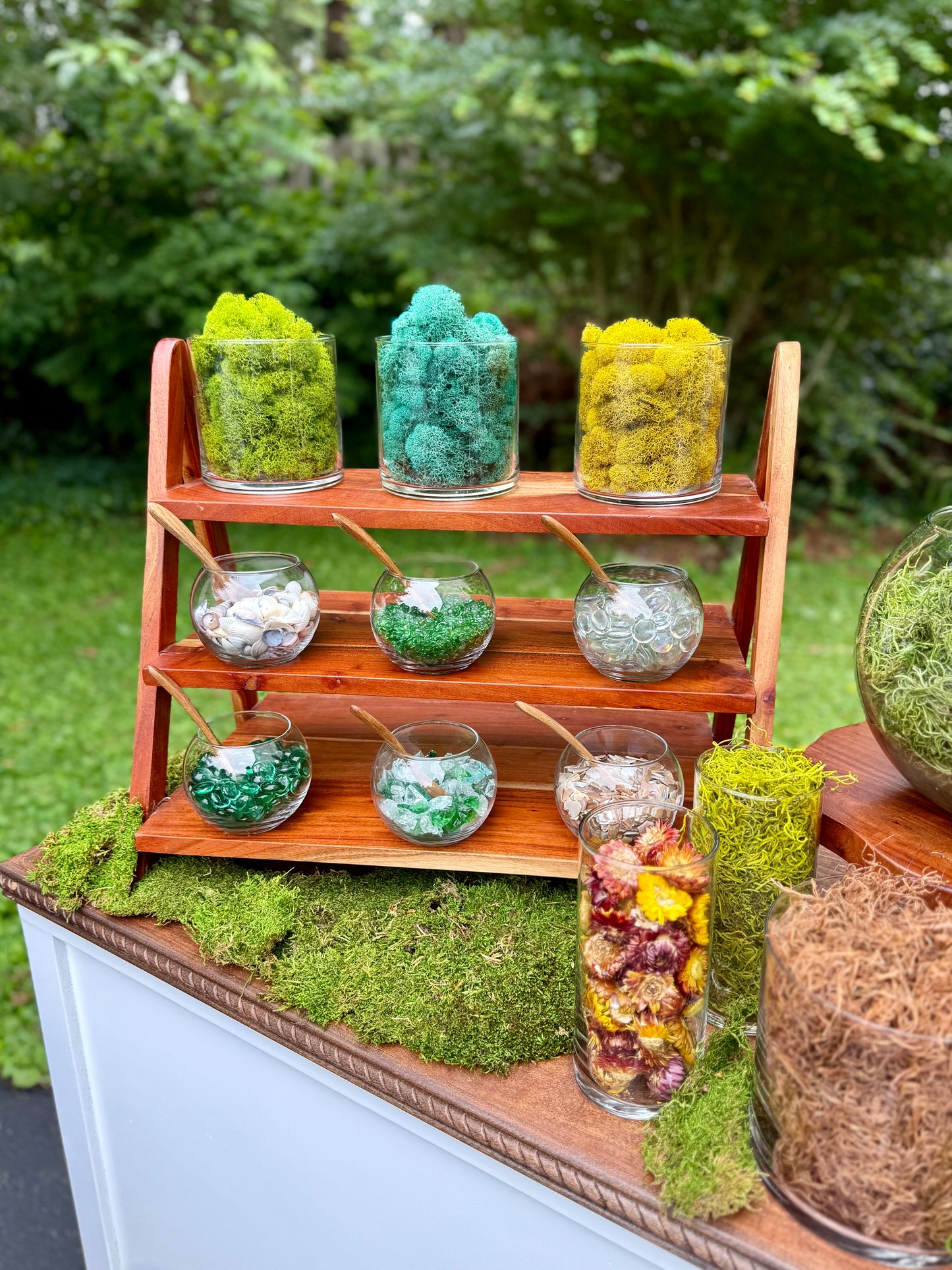 Signature Succulent Bar – Includes Cart Rental & 30 Terrariums