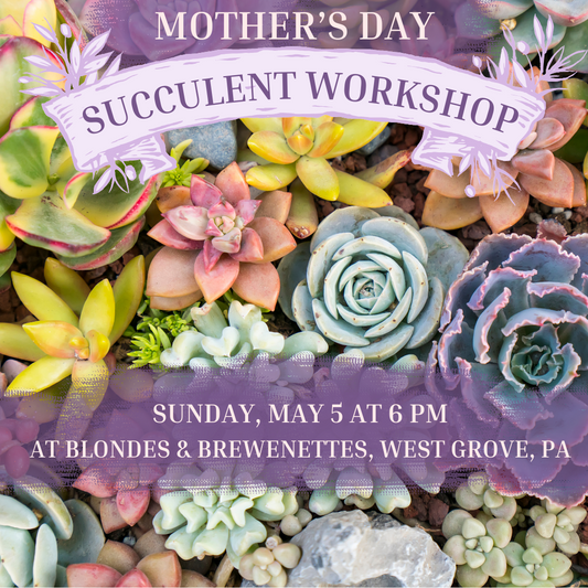 5/5 Mother's Day Succulent Workshop at Blondes & Brewnettes at 6 pm