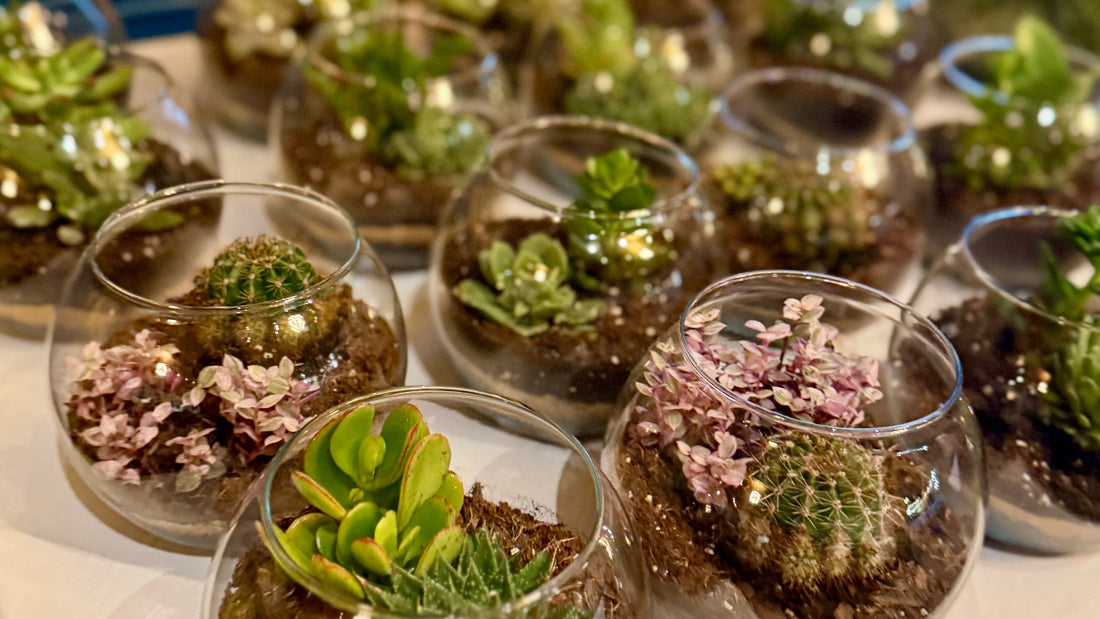 A Chic Succulent Bar for a Bridal Shower at Autograph Brasserie in Wayne, PA