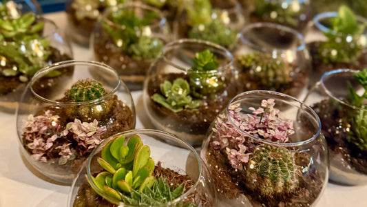 A Chic Succulent Bar for a Bridal Shower at Autograph Brasserie in Wayne, PA