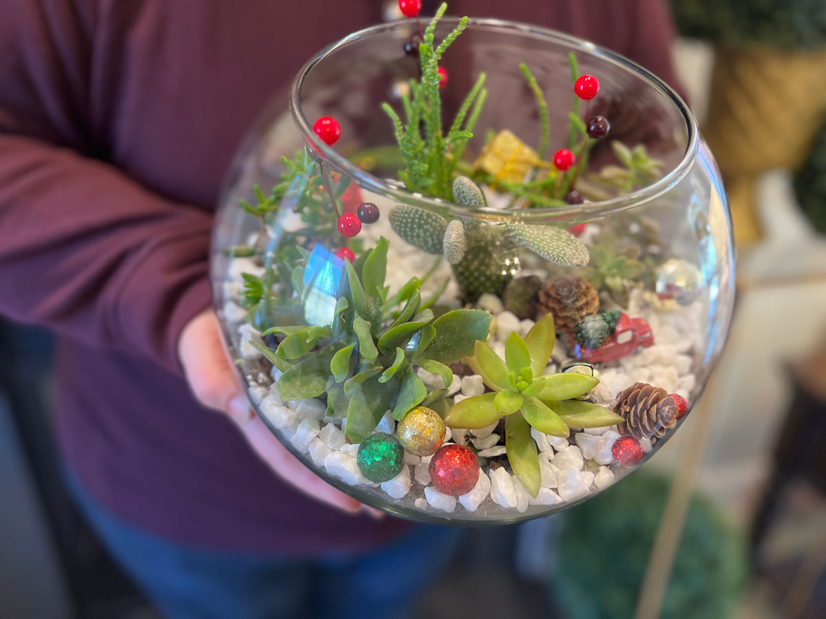 11/27 Succulent Snowglobe Workshop at Grace Winery, Glen Mills PA at 6 pm