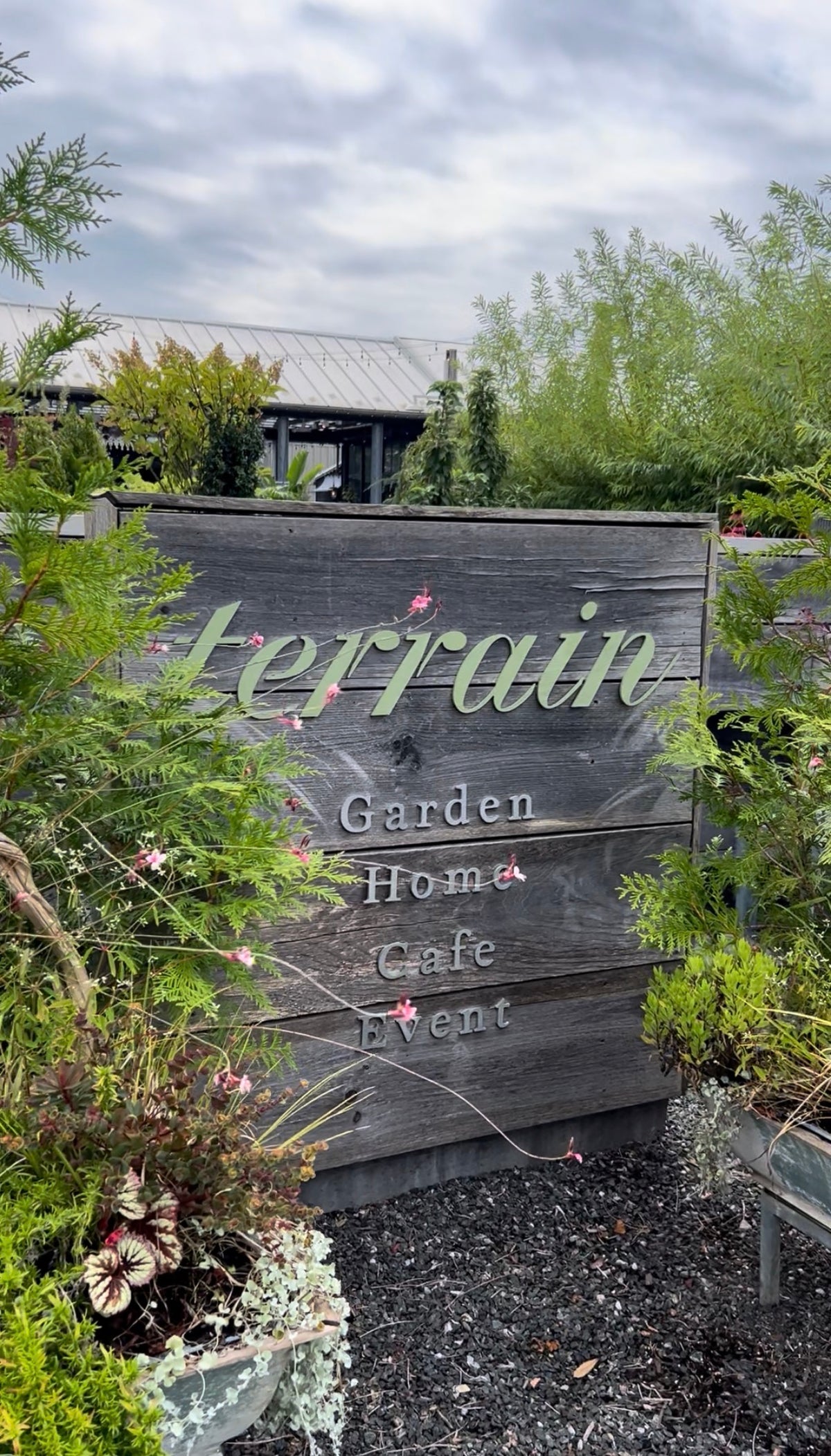 12/13 Mistletoe & Mimosas - Christmas Centerpiece Workshop at Terrain in Devon at 11 am