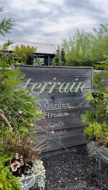 12/13 Mistletoe & Mimosas - Christmas Centerpiece Workshop at Terrain in Devon at 11 am