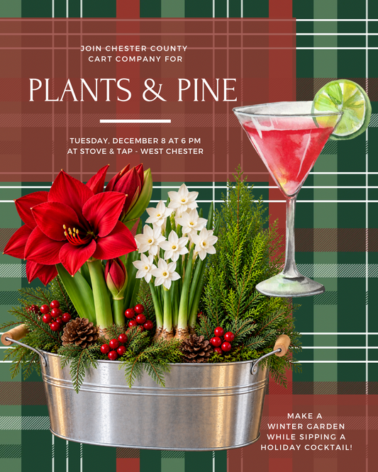 12/8 Plants & Pine - Winter Garden Workshop at Stove & Tap in West Chester at 6 pm