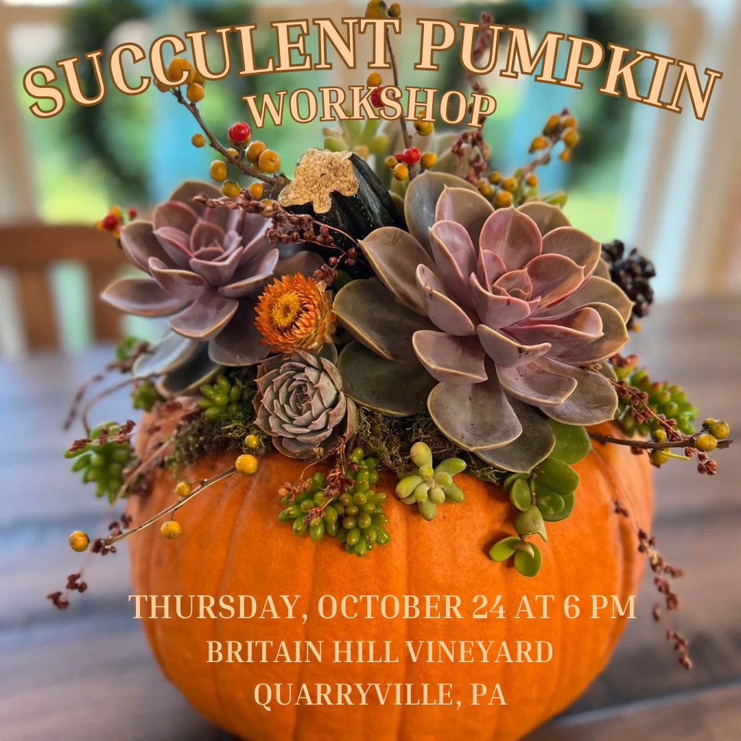 10/24 Succulent Pumpkin Workshop at Britain Hill Vineyard in Quarryville, PA at 6 pm