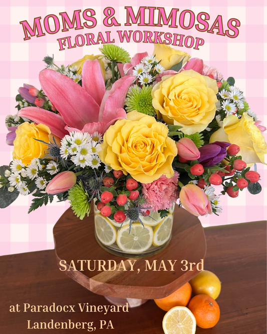 5/3 Moms & Mimosas - Citrus Centerpiece Workshop at Paradocx Vineyard - Landenberg, PA