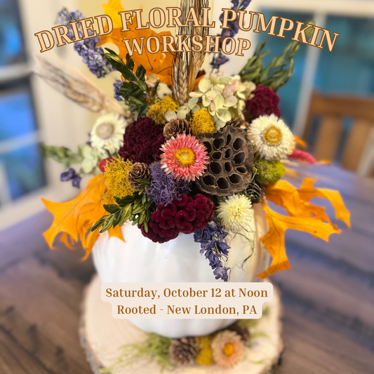 10/12 Dried Floral Pumpkin Workshop at Rooted in New London, PA at 12:30 pm