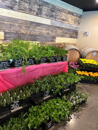 5/13 Cocktail Garden Workshop at Bierhaul Townhouse - West Chester, PA at 6 pm