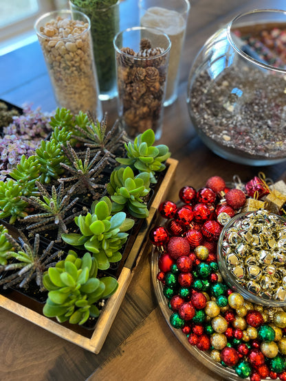 11/27 Succulent Snowglobe Workshop at Grace Winery, Glen Mills PA at 6 pm