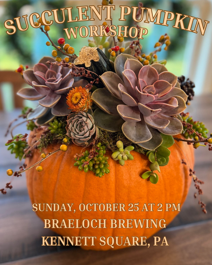10/25 Succulent Pumpkin Workshop at Braeloch Brewing in Kennett Square, PA at 2 pm
