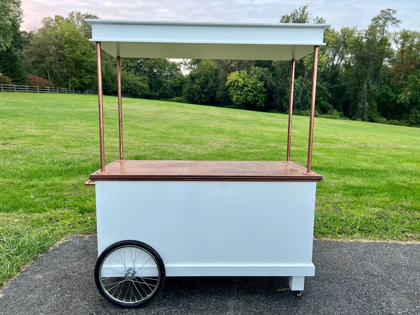 DELUXE MULTI-USE CART RENTAL ***LOCAL DELIVERY ONLY***12 HOUR RENTAL***