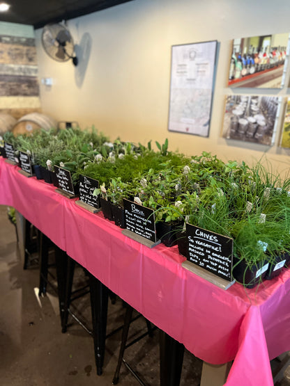 5/13 Cocktail Garden Workshop at Bierhaul Townhouse - West Chester, PA at 6 pm