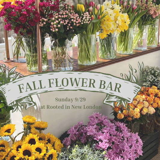 9/29 Fall Flower Bar at Rooted New London, PA (make a bouquet in a pumpkin)