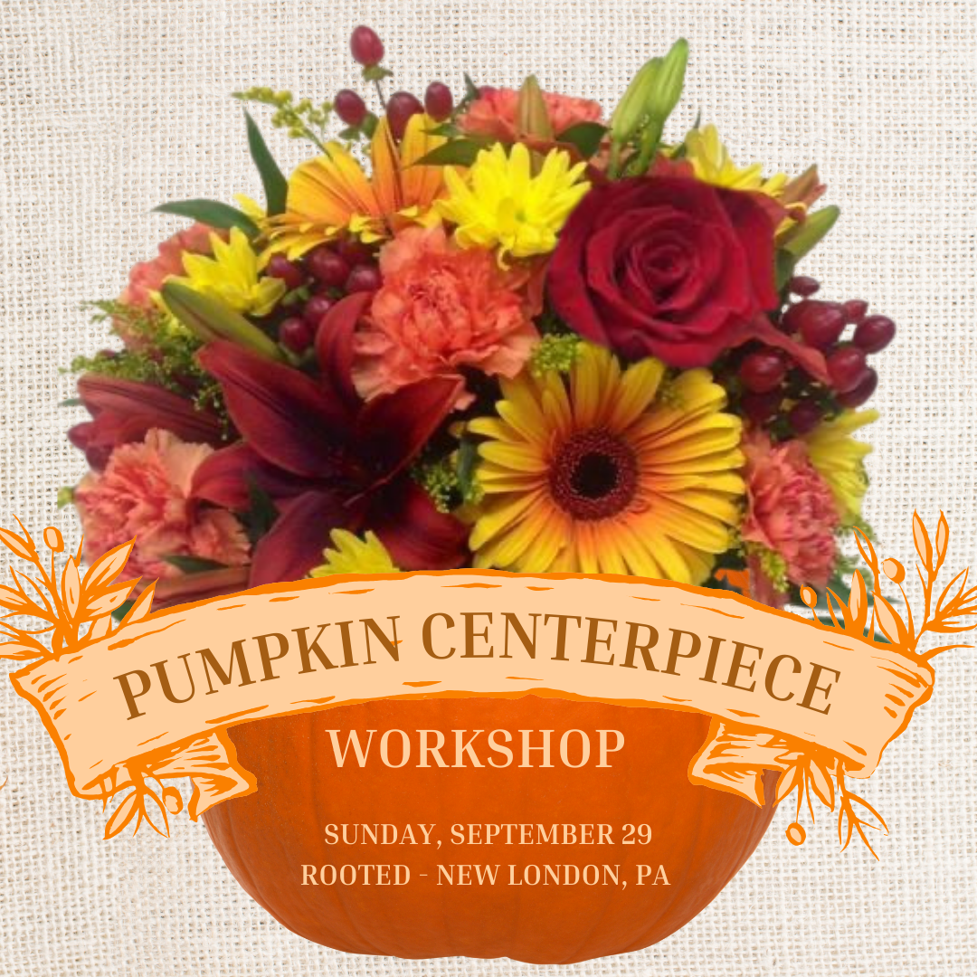 9/29 Pumpkin Centerpiece Workshop & Fall Flower Bar at Rooted New London, PA (small class size)