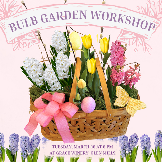 3/26 Spring Bulb Garden Centerpiece Workshop at Grace Winery 6 PM