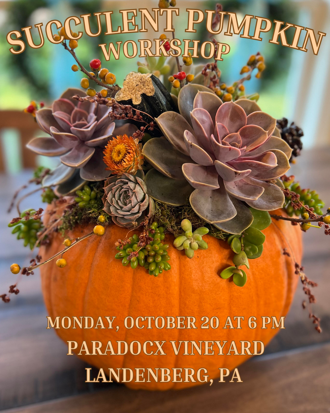 10/20 Succulent Pumpkin Workshop at Paradocx Vineyard - Landenberg, PA at 6 pm