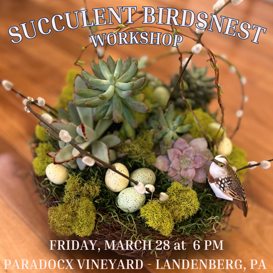 3/28 Succulent Birds Nest Workshop at Paradocx Vineyard at 6 pm