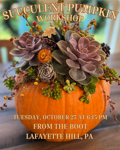 10/27 Succulent Pumpkin Workshop at From the Boot Lafayette Hill at 6:15 pm - BYOB (Dinner included)