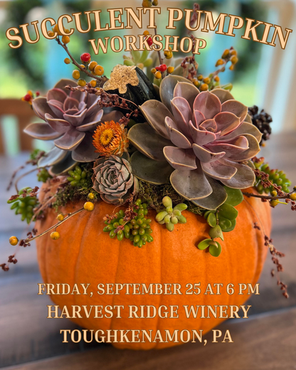 9/25 Succulent Pumpkin Workshop at Harvest Ridge Winery in Toughkenamon, PA at 6 pm