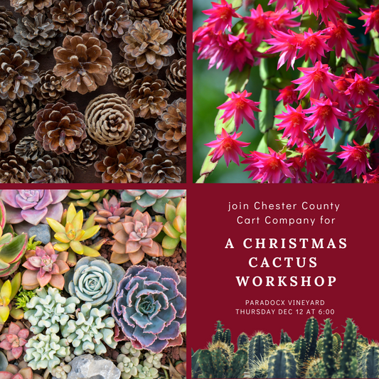 12/12 Christmas Cactus Workshop at Paradocx Vineyard - Landenberg, PA at 6 pm