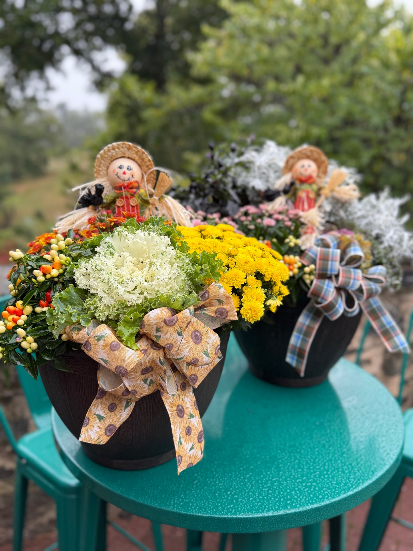 10/4 Fall Planter Workshop at Paradocx Vineyard in Landenberg, PA at 2:30 pm
