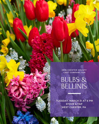 3/31 Bulbs & Bellinis - Spring Planter Workshop at Stove & Tap West Chester, PA at 6 pm