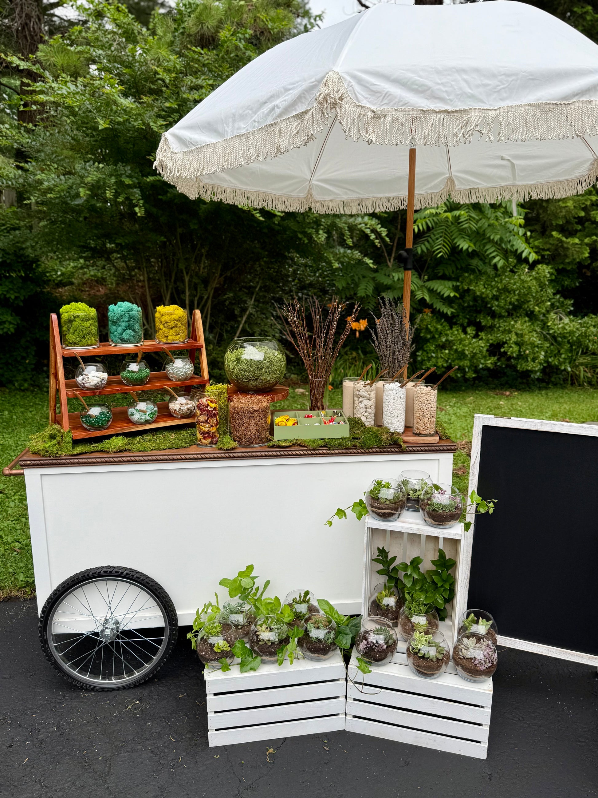 succulent mobile Signature Succulent Bar – Includes Cart Rental & 30 Terrariums