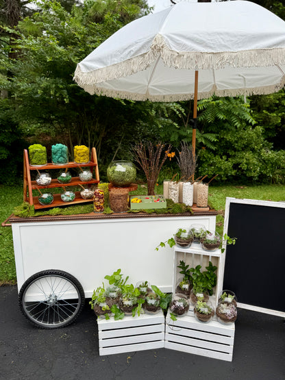 Signature Succulent Bar – Includes Cart Rental & 30 Terrariums