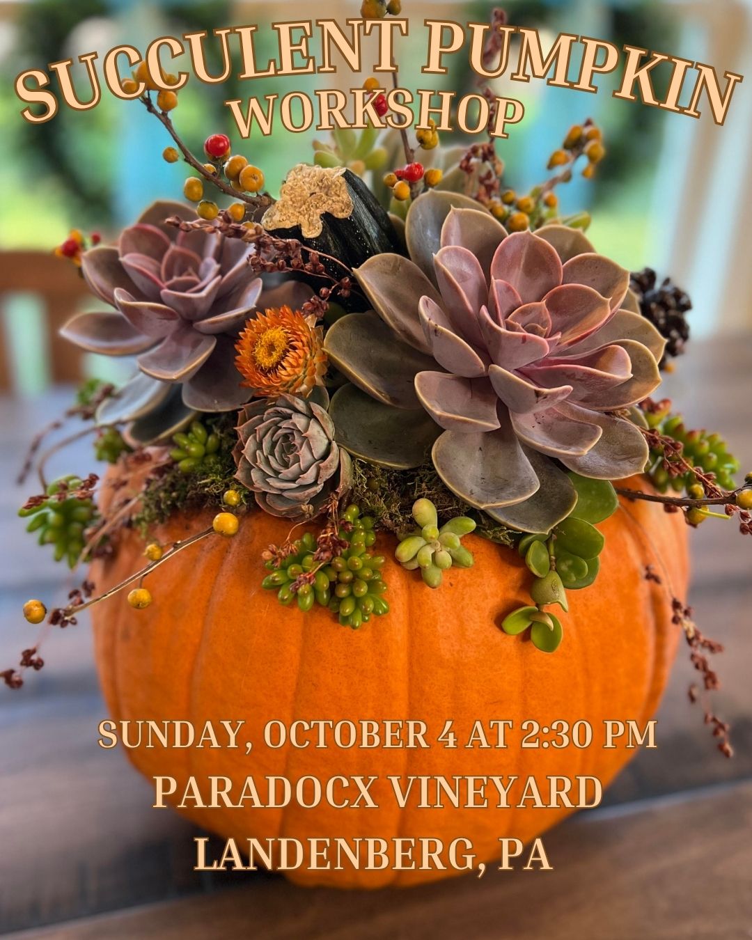 10/4 Succulent Pumpkin Workshop at Paradocx Vineyard in Landenberg, PA at 2:30 pm