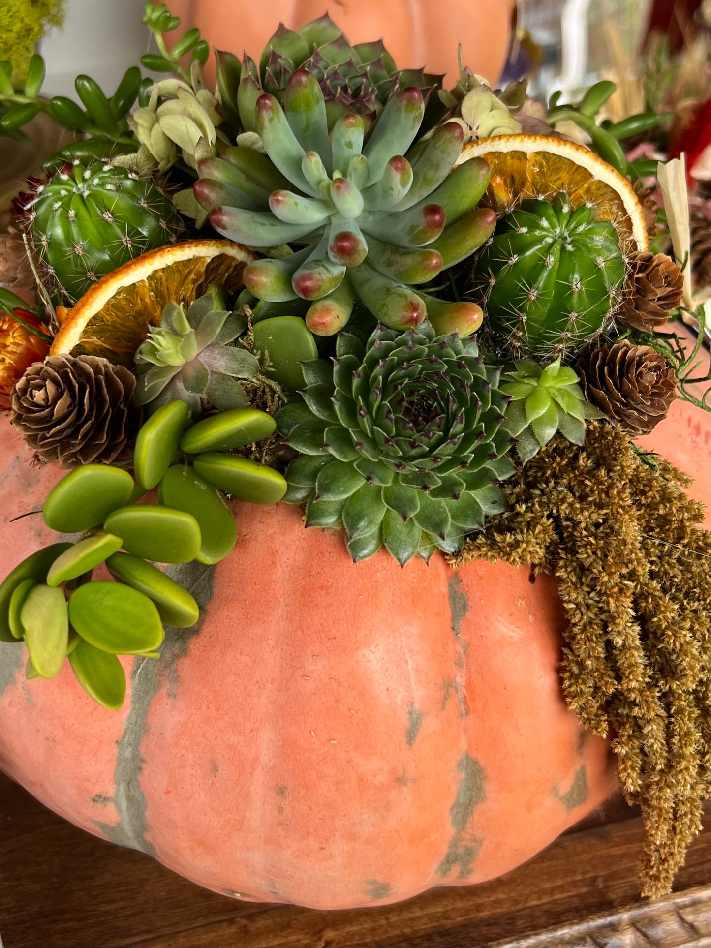9/18 Succulent Pumpkin Workshop at Paradocx Vineyard in Landenberg, PA at 6 pm
