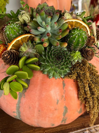 9/18 Succulent Pumpkin Workshop at Paradocx Vineyard in Landenberg, PA at 6 pm