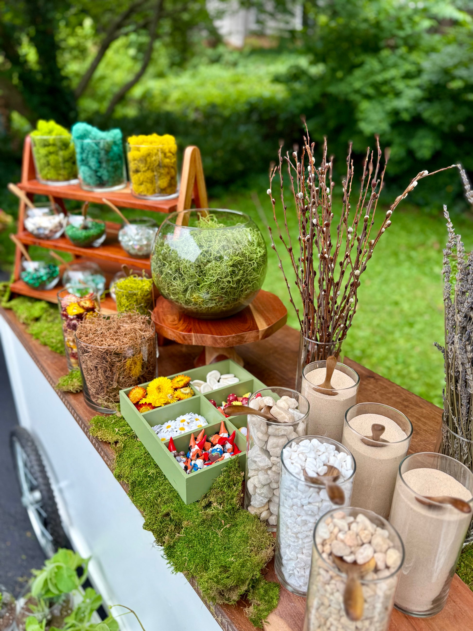succulent bar party Signature Succulent Bar – Includes Cart Rental & 30 Terrariums