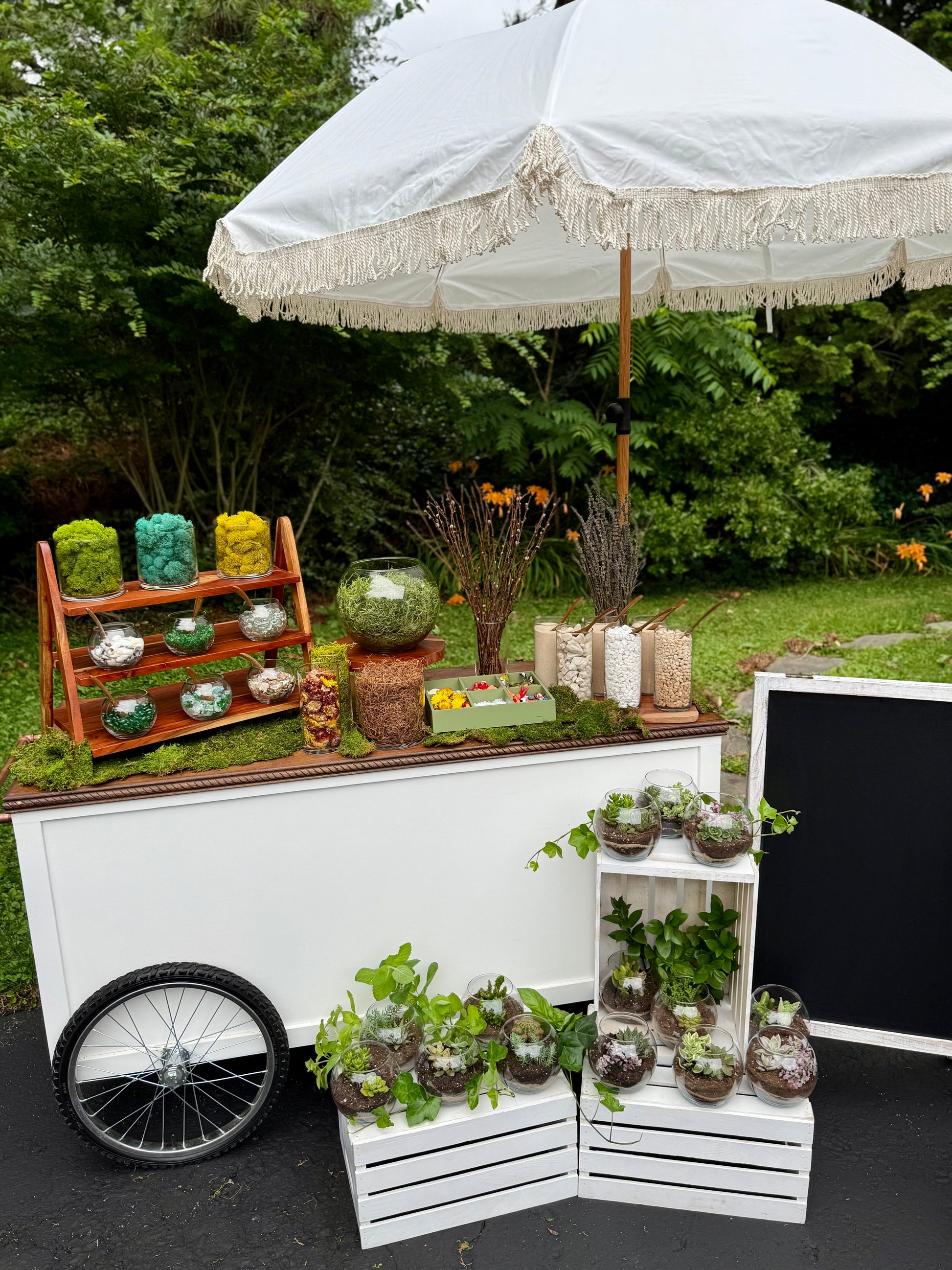 succulent planting party ideas Signature Succulent Bar – Includes Cart Rental & 30 Terrariums – Chester County Cart Company