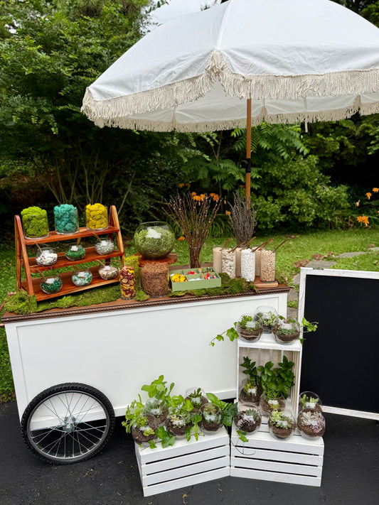 Signature Succulent Bar – Includes Cart Rental & 30 Terrariums