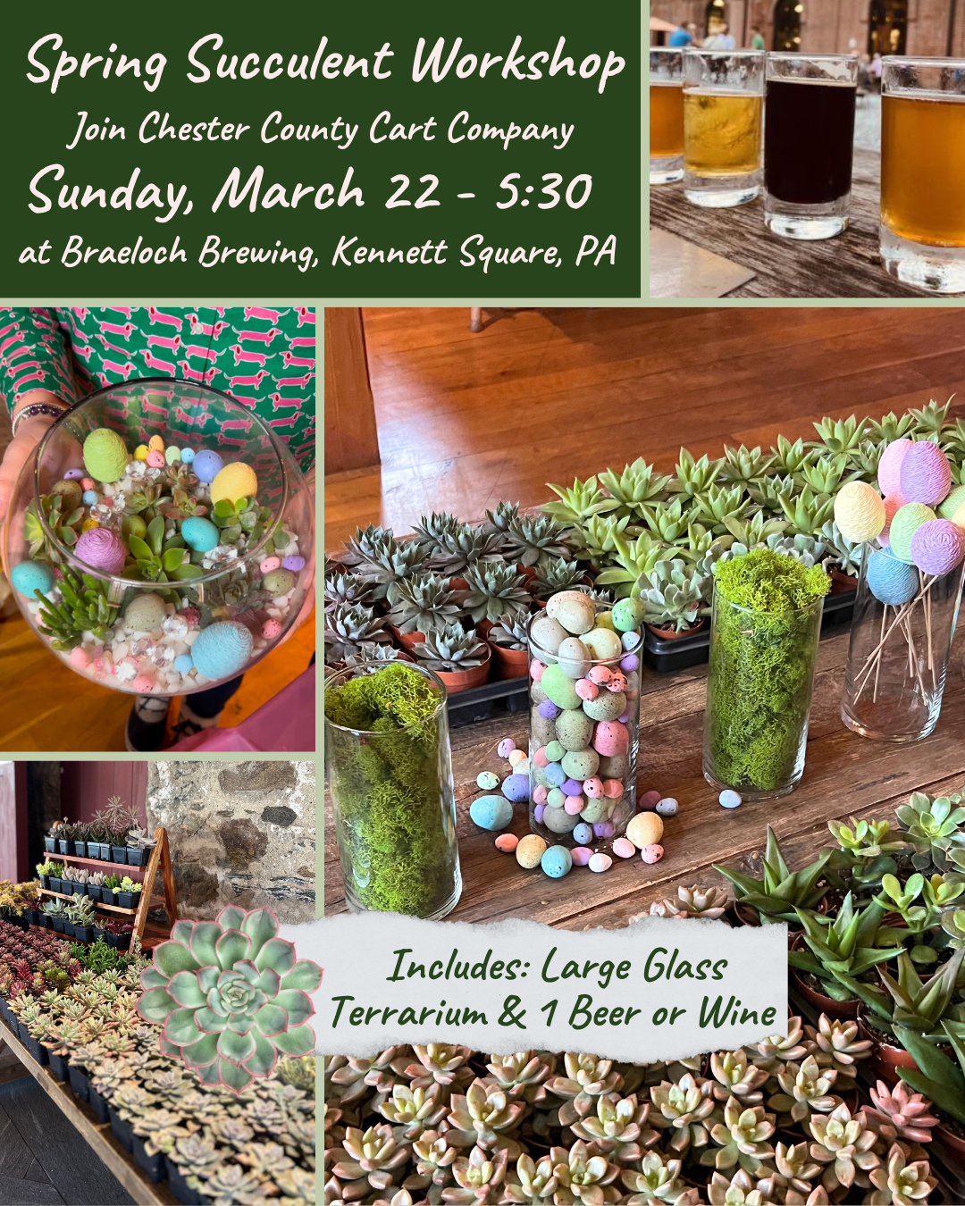 3/22 Spring Succulent Workshop at Braeloch Brewing - Kennett Square, PA at 5:30 pm