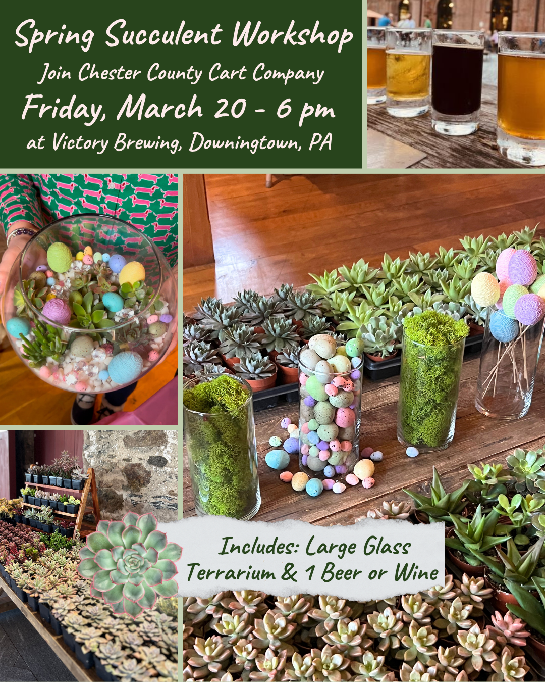3/20 Spring Succulent Workshop at Victory Brewing - Downingtown, PA at 6 pm