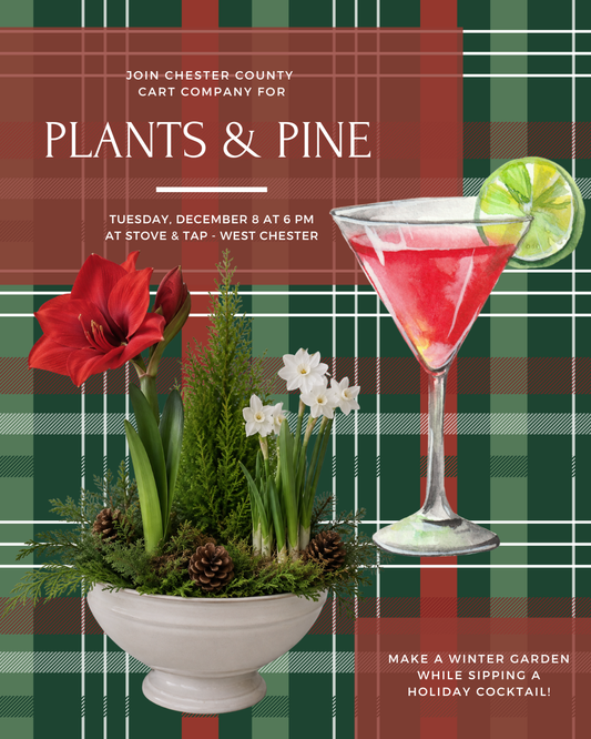 12/8 Plants & Pine - Winter Garden Workshop at Stove & Tap in West Chester at 6 pm